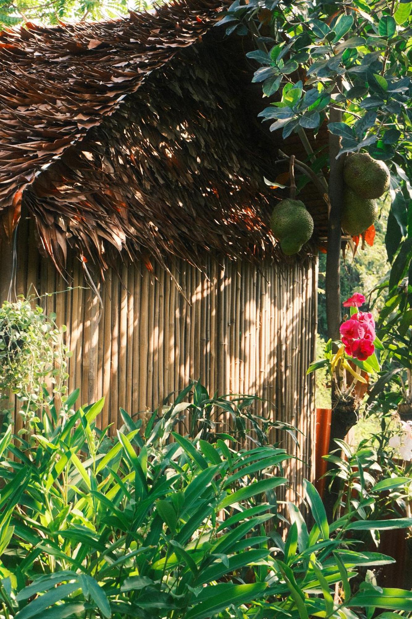 Siem Reap Homesteading II ภายนอก รูปภาพ